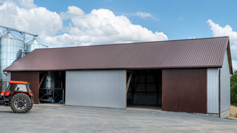 Read more about the article Blachy trapezowe Dachlux-Kumor