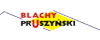 logo pruszynski