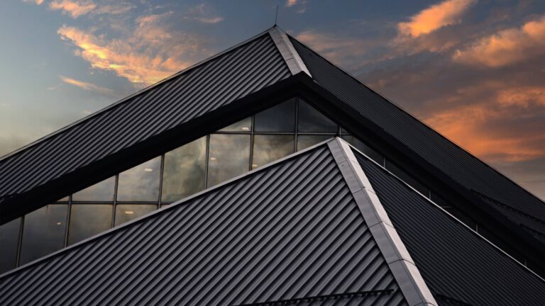 Read more about the article Blachy trapezowe Pruszyński